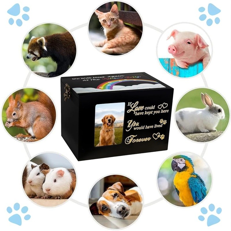 Pet Cremation Urn Memorial Box Wooden Picture Frame Small Medium Pets 60ci New