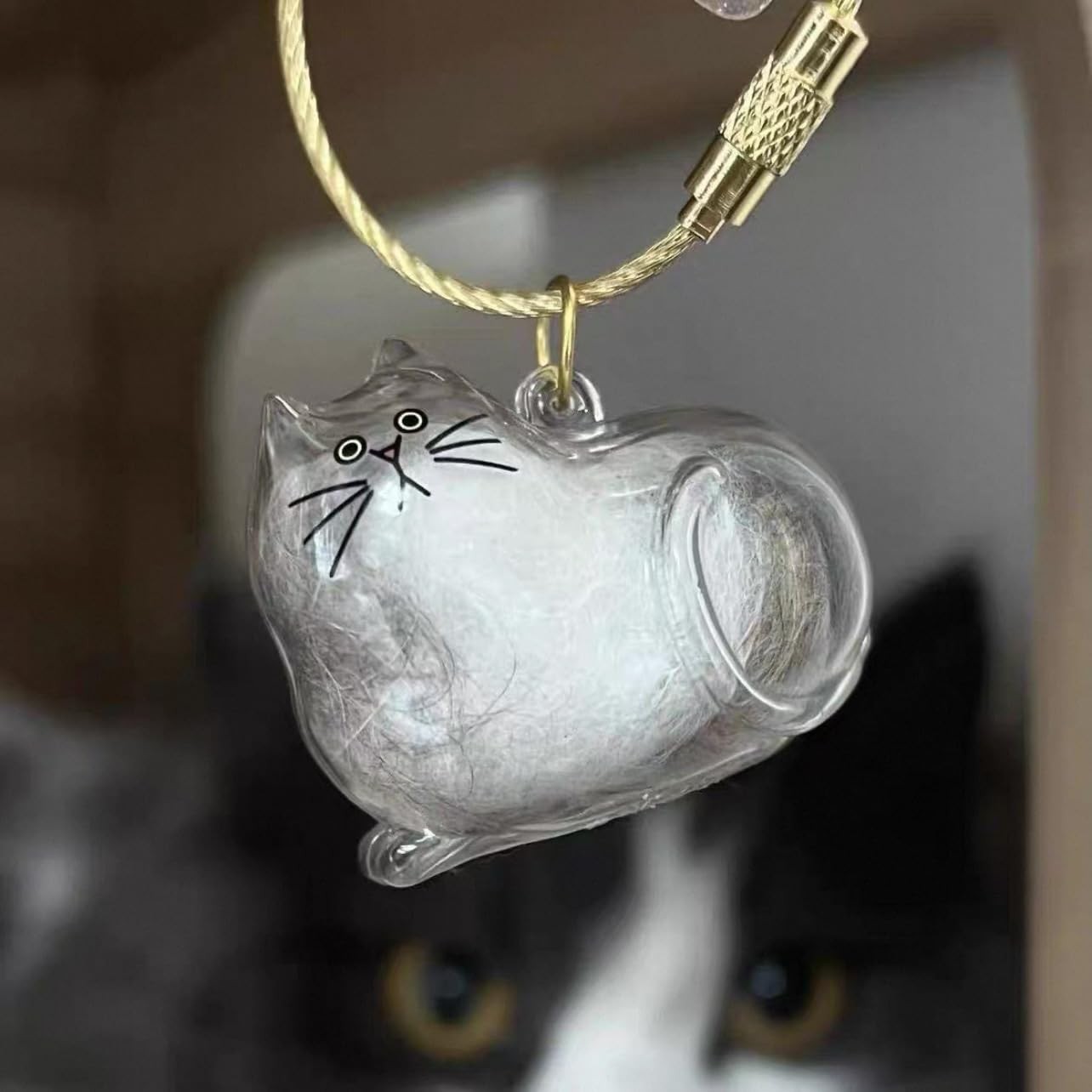 sencdfly Cat Hair Storage Keychain,Transparent and Large, Cat(universal)
