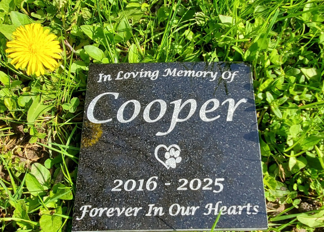 Pet Memorial Granite Stone Engraved Grave Marker Headstone Garden Plaque d5