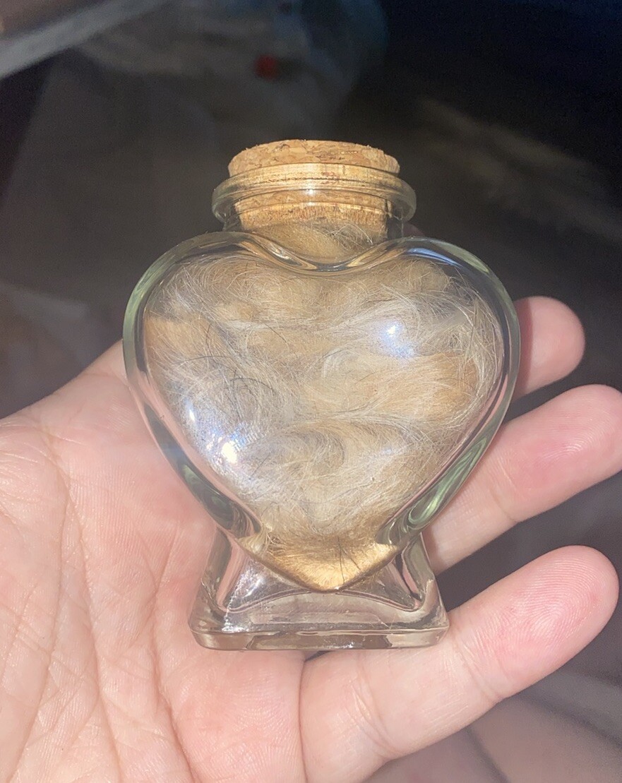 Glass Memorial Pet Fur Keepsake Jar – Cork Dog Charm Hair Display Loss