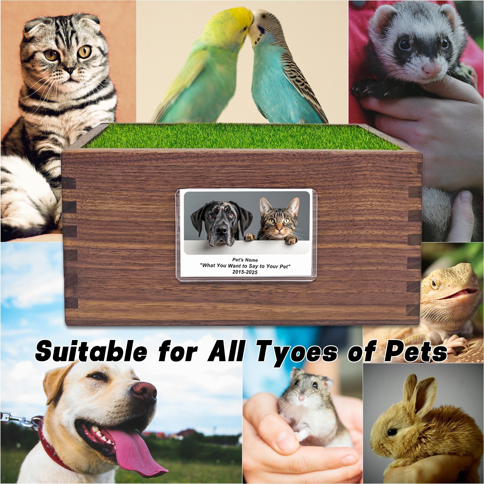 Cat Pet Memorial Urn Black Walnut Material With Photo Frame And Angel Sculpture