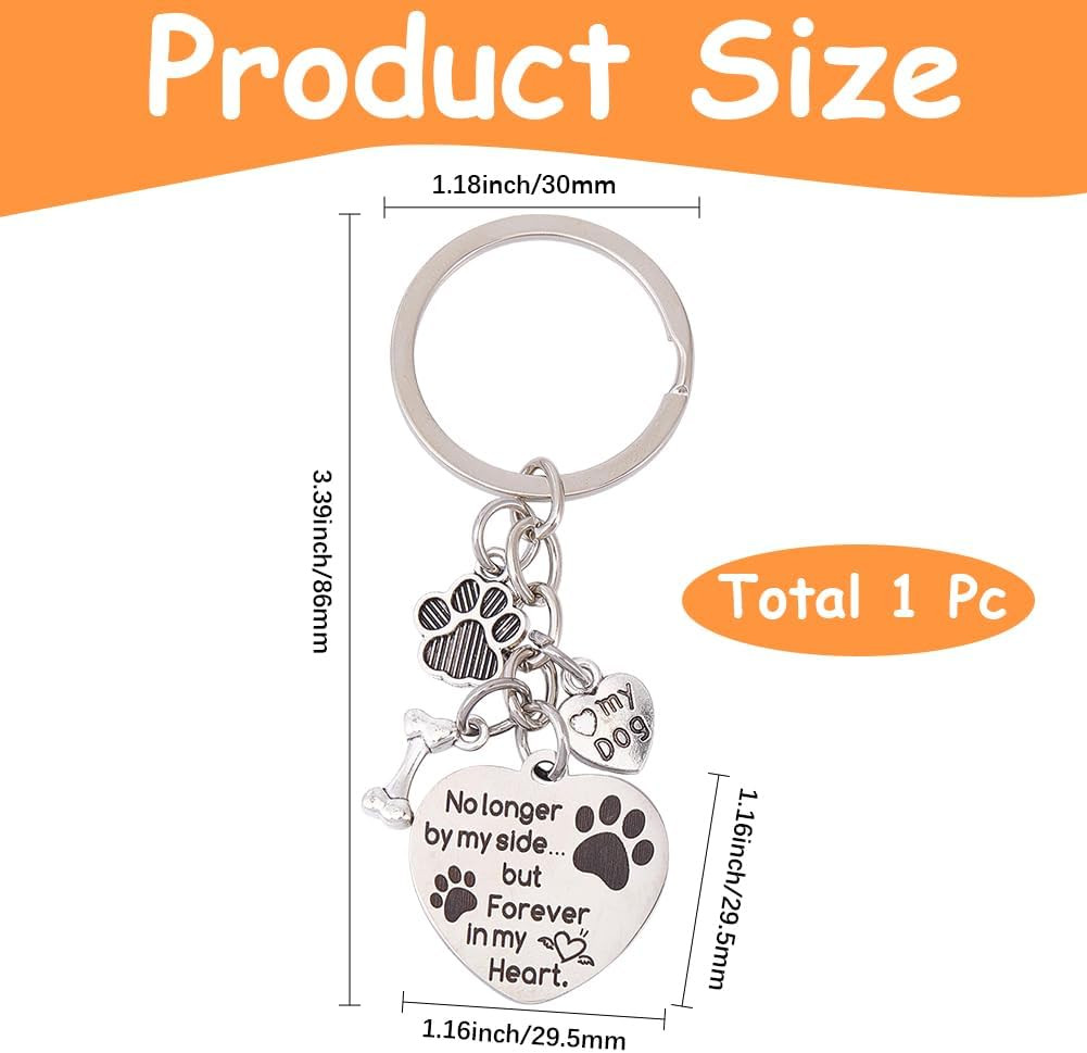 1 Box Dog Memorial Keychain Pet Memorial Gifts Silver Stainless Steel No Longer