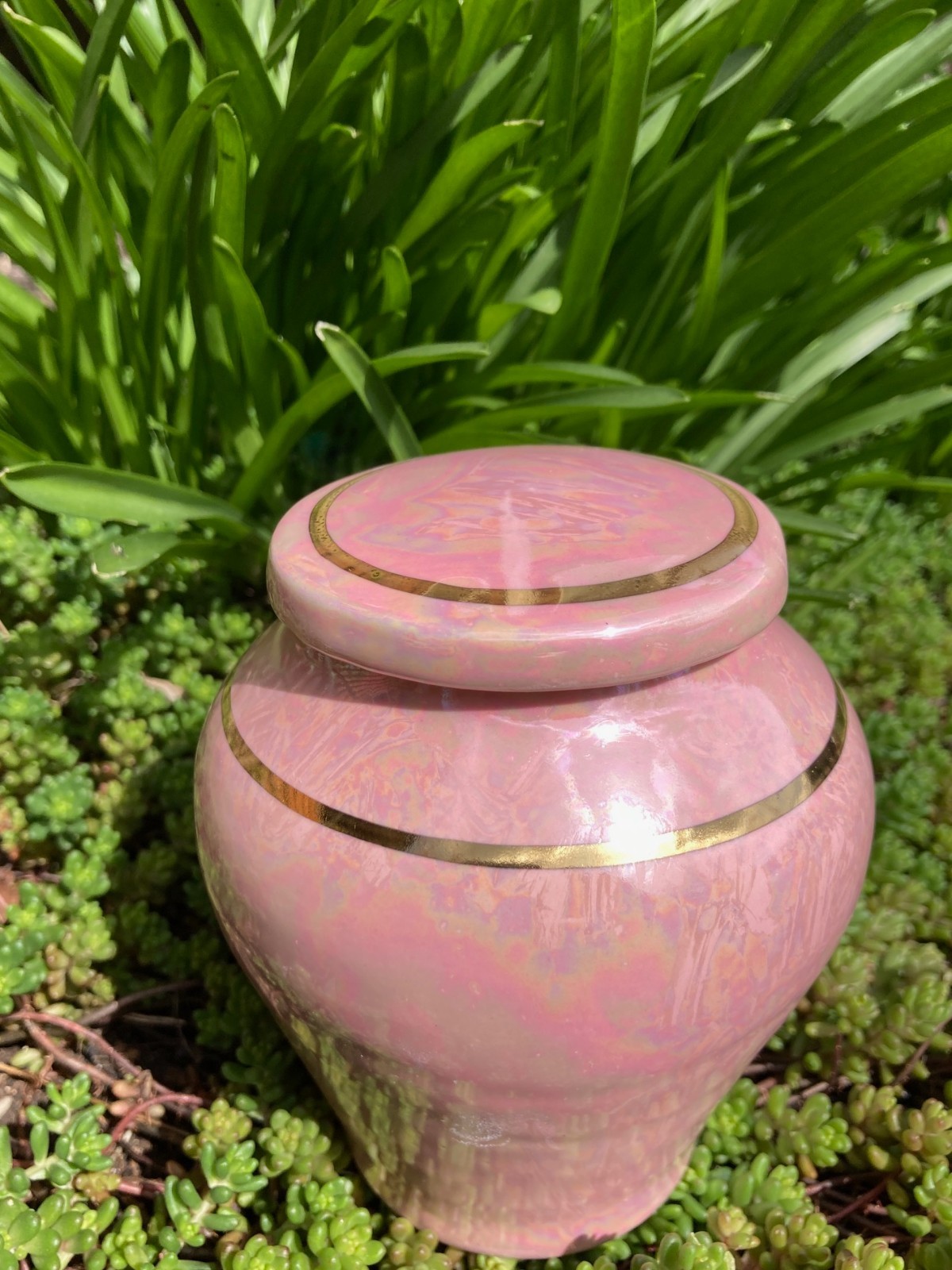 Handmade Ceramic Cremation Urn in Yellow w/MOP, small size for pet ashes 50 ci
