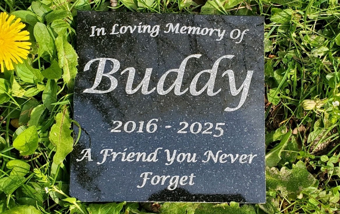 Pet Memorial Granite Stone Engraved Grave Marker Headstone Garden Plaque d6