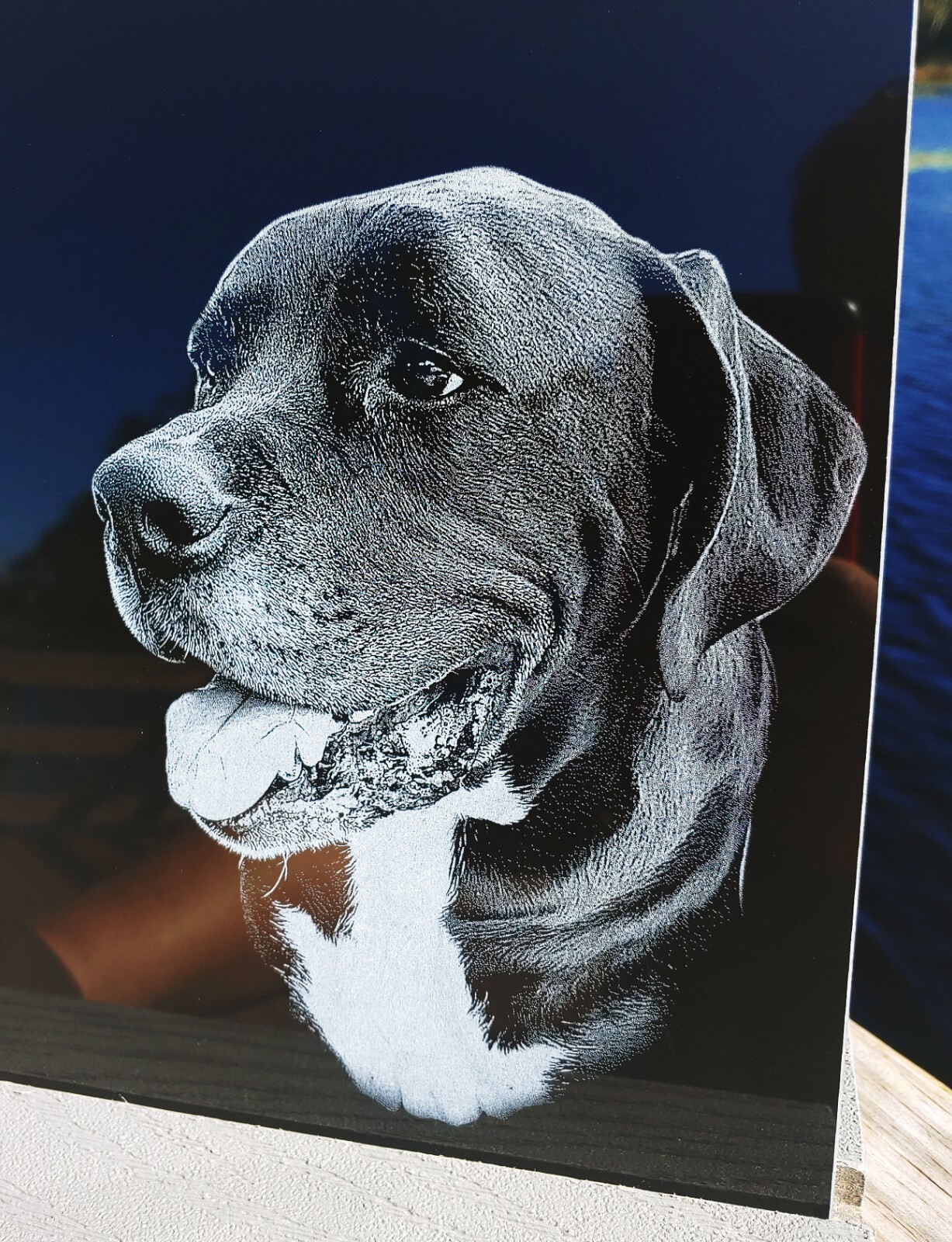 Tombstone Paw Print Pet Memorial Stone Gravestone Picture Grave Garden Dog Puppy