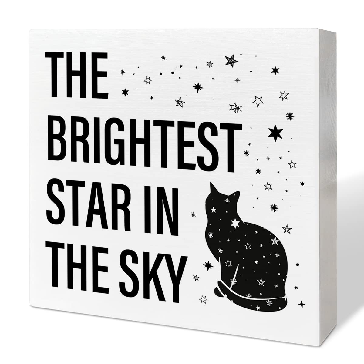 Memorial Gifts for Lose of Cat, Pet Sympathy Gifts Cat Remembrance Gifts Loss…