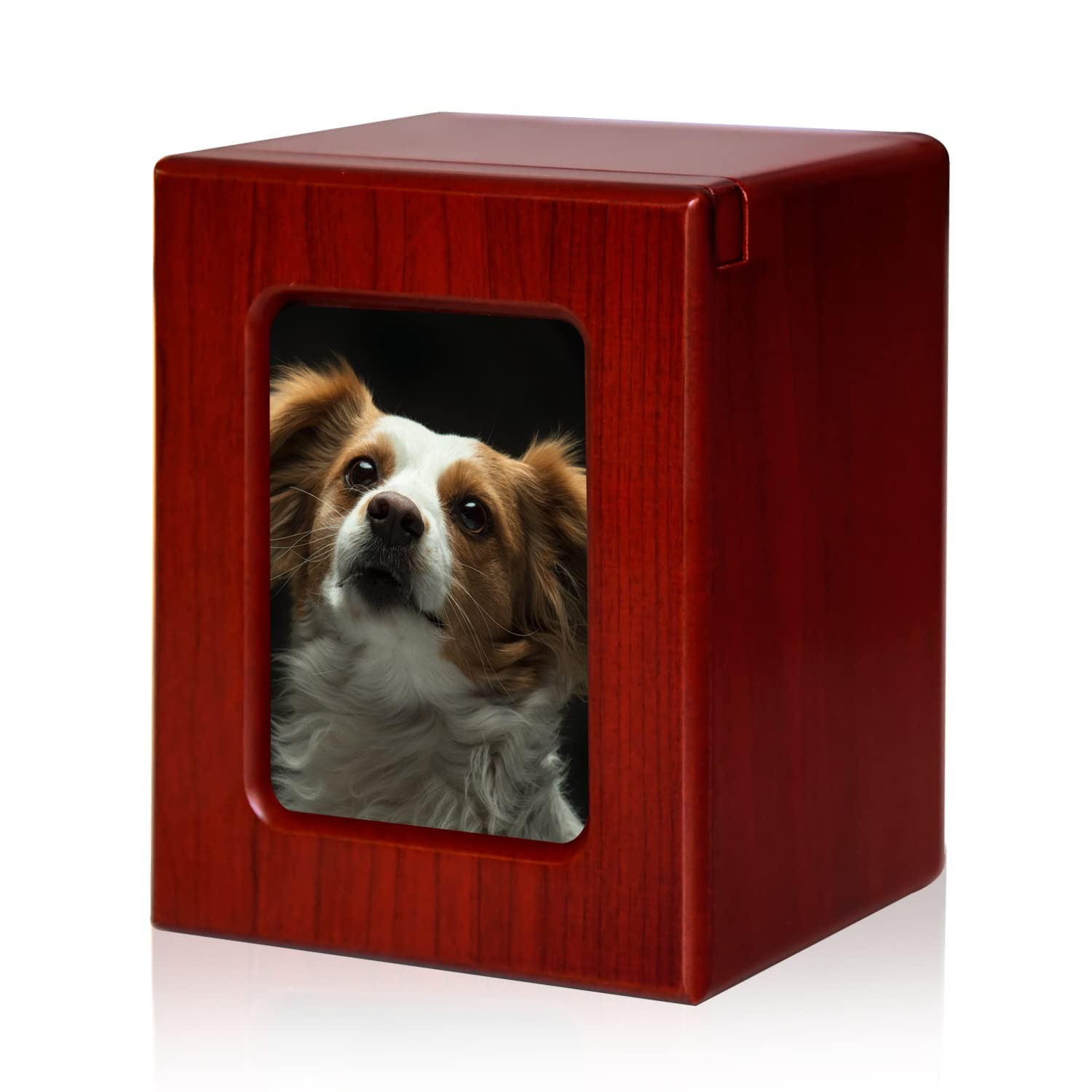PCS Pet Urns for Dogs Ashes, Dog Photo Urn, Urns for Dog Ashes, Pet Cremation…