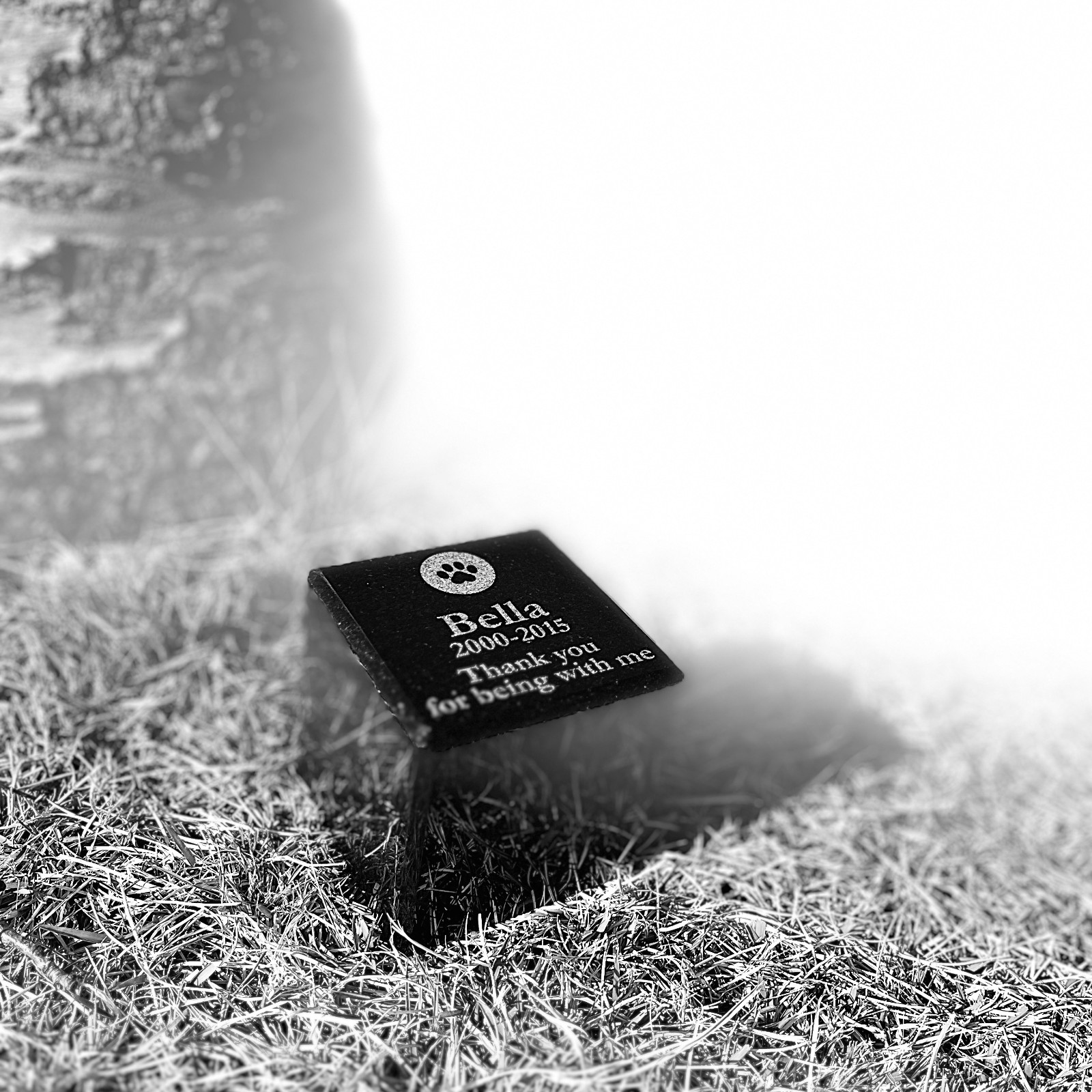[Made in Japan · Pet Memorial Stone] Memorial Stone Cube | Natural Black Granite