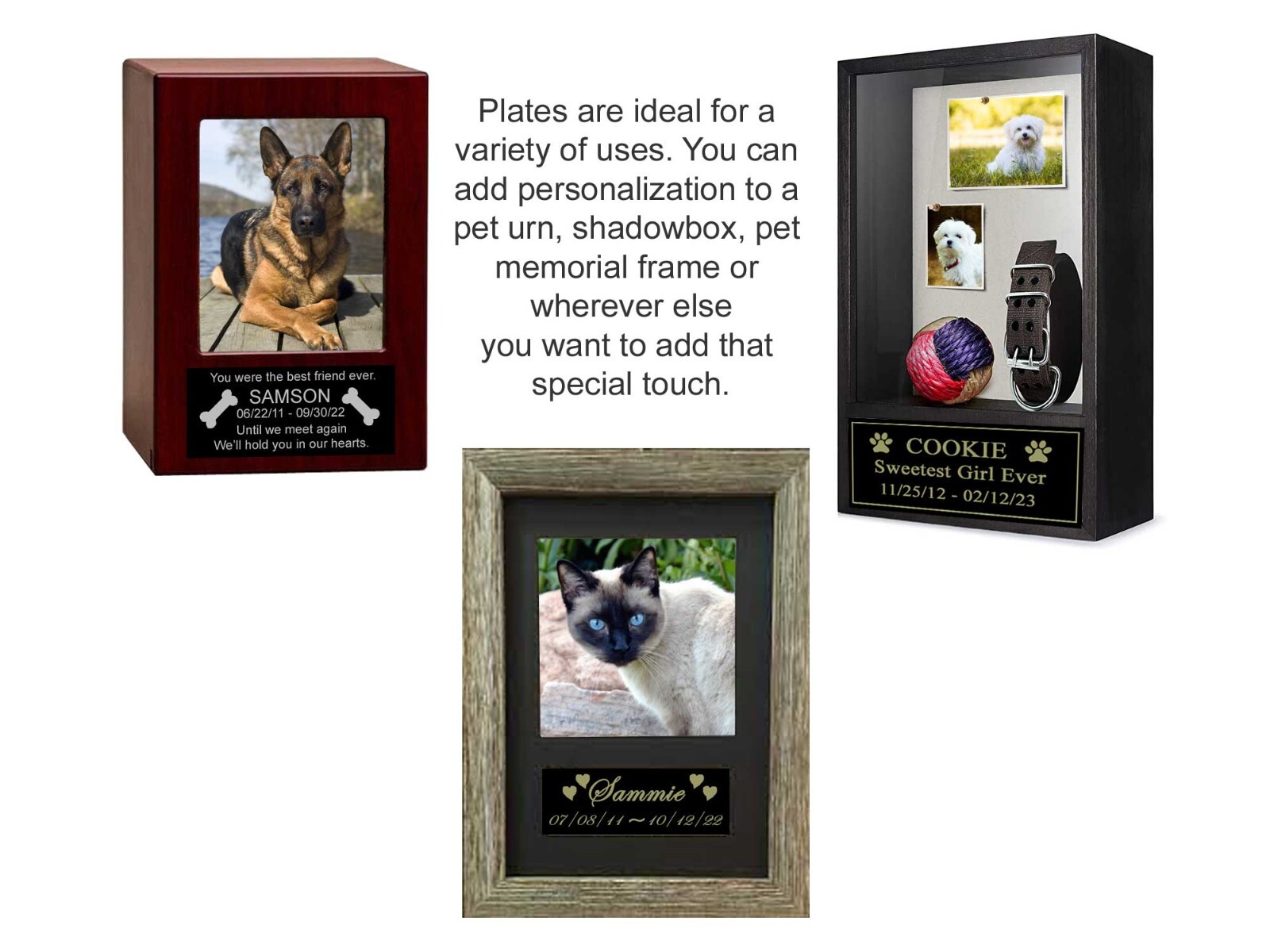 Custom Engraved Name Plate – Pet Loss Memorial – Choose Size – Dog Cat Any Pet