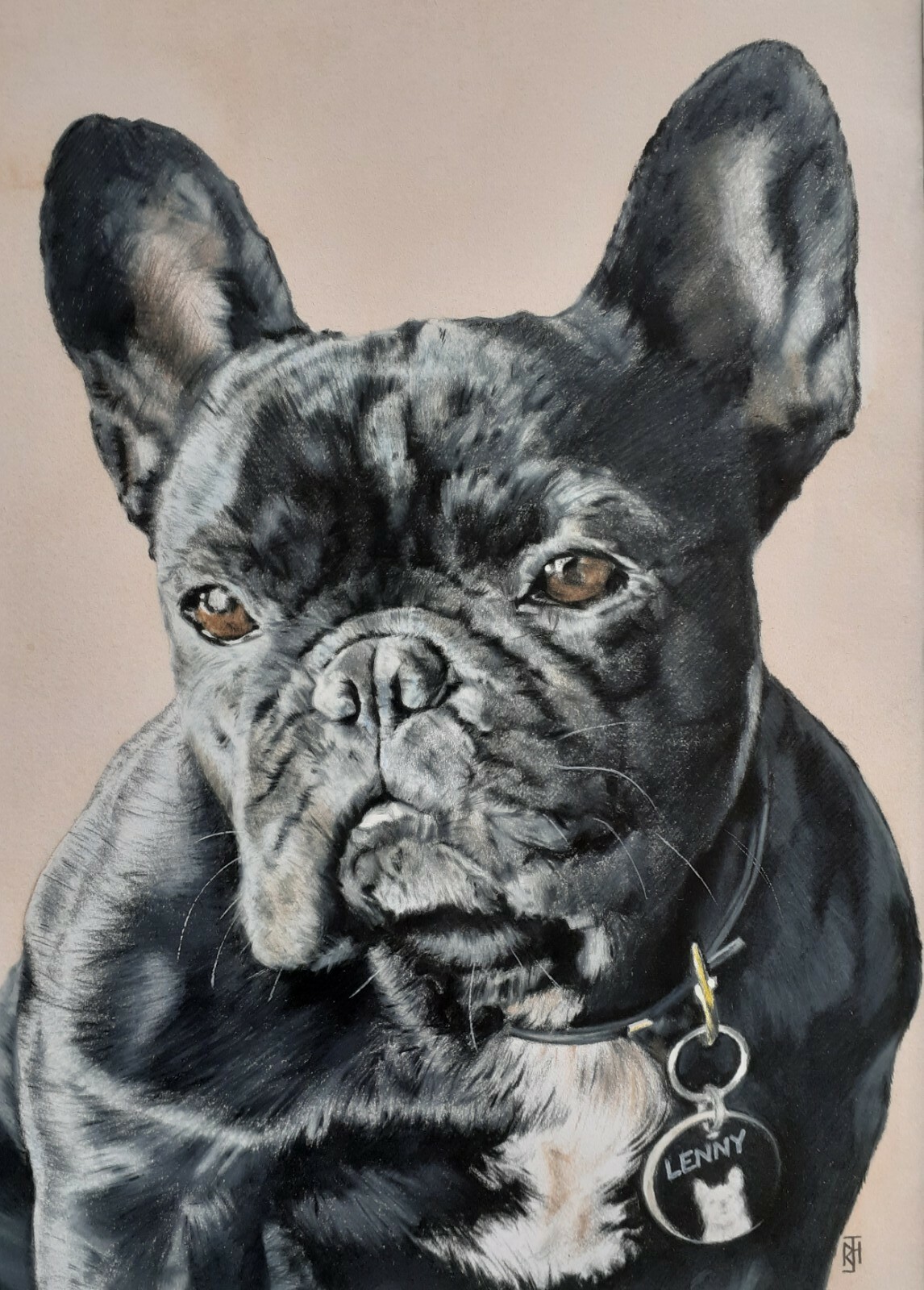 Pet Portrait A4 – Hand drawn, custom made, unique personalized gift