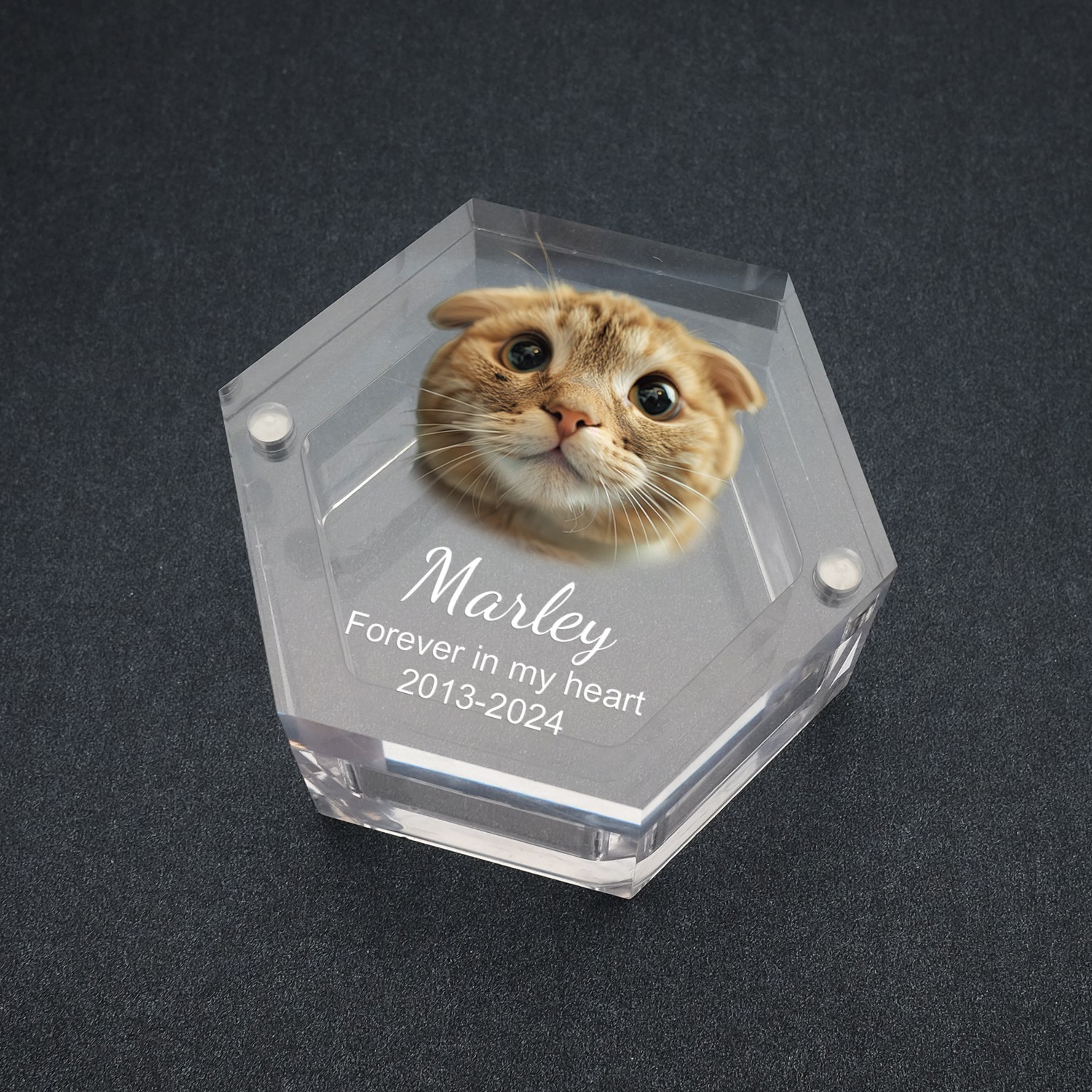 Personalized Pet Hair Box Dog and Cat Fur Custom Keepsake Box Photo Memorial Box