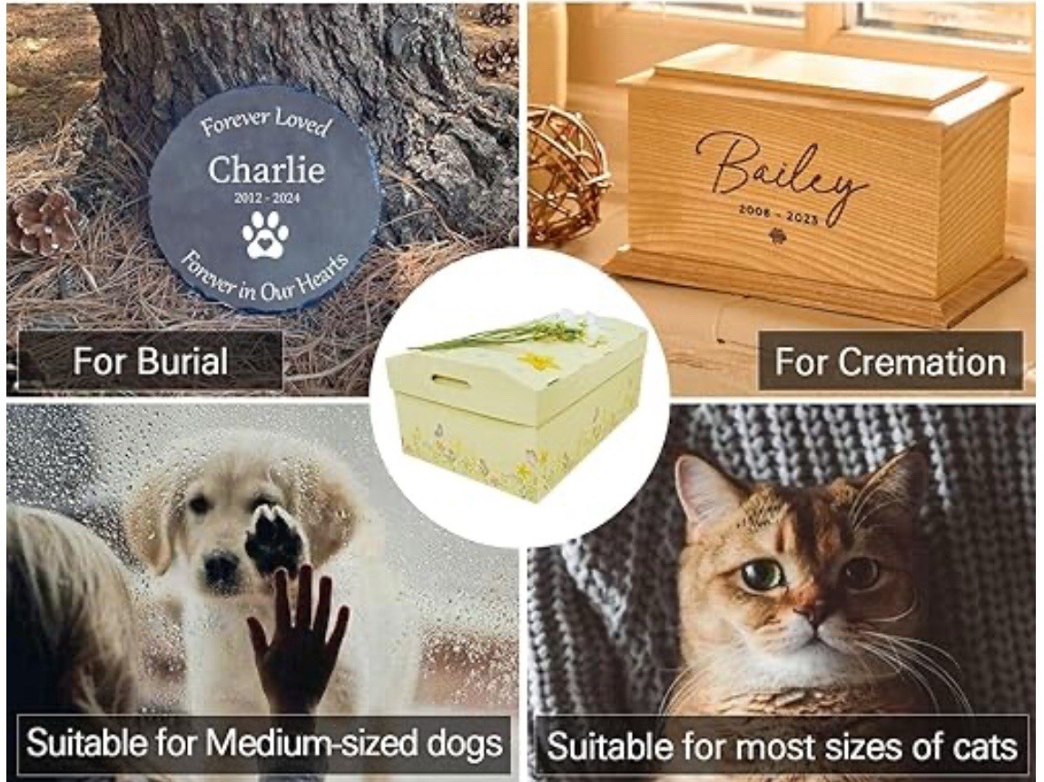 Lot of 8 Biodegradable Pet Caskets Medium Burial Boxes 21.6″ Yellow Memorial