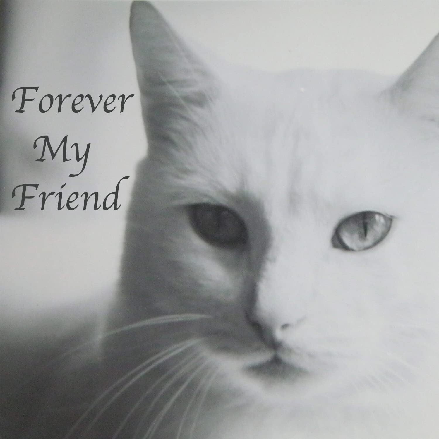 Premium Pet Cremation Urns – Cats Ashes – Up to 60 lbs – Elegant Gray