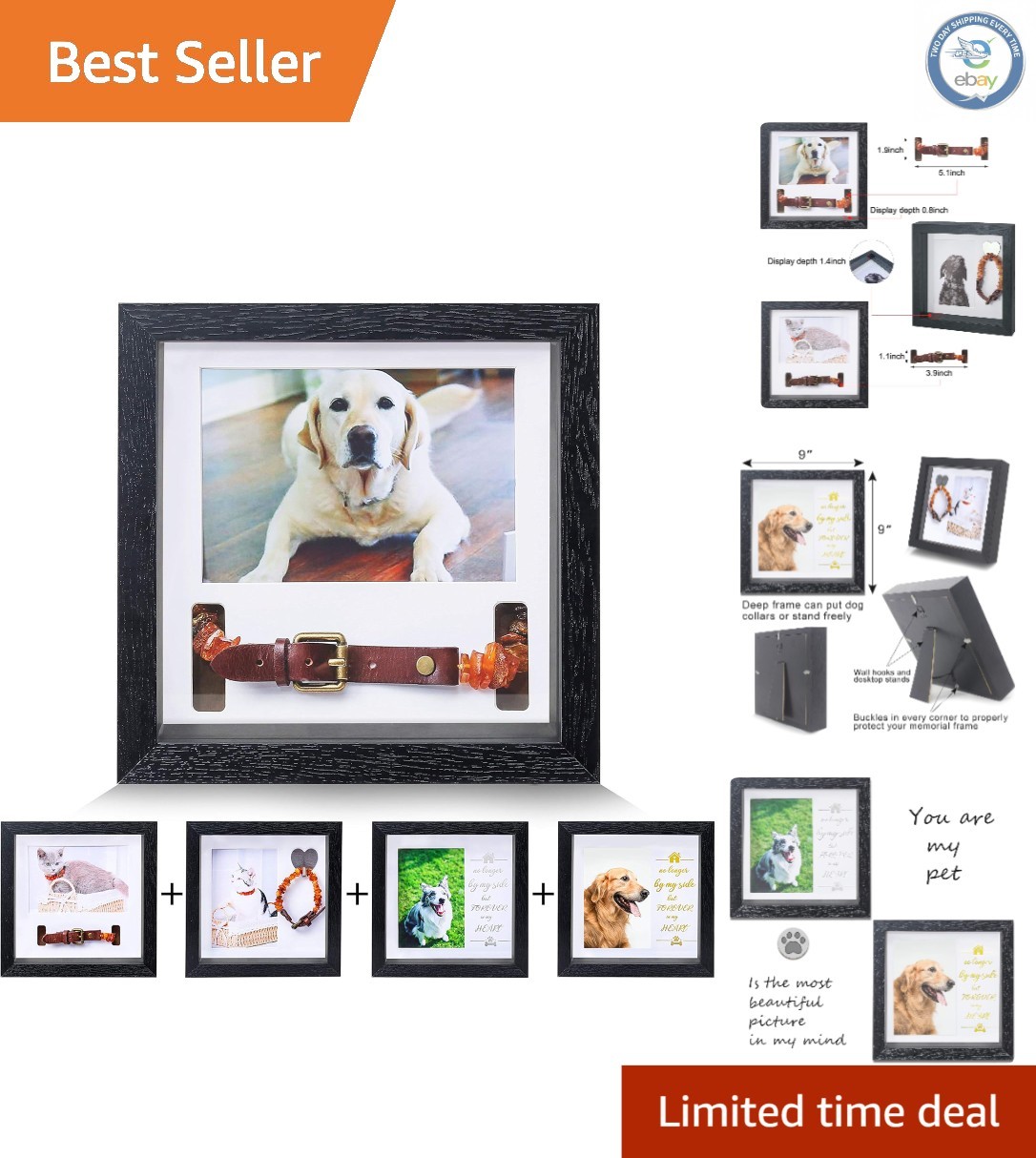 Durable Pet Collar Keepsake Frame – 9-Inch Memorial Tribute for Beloved Pets