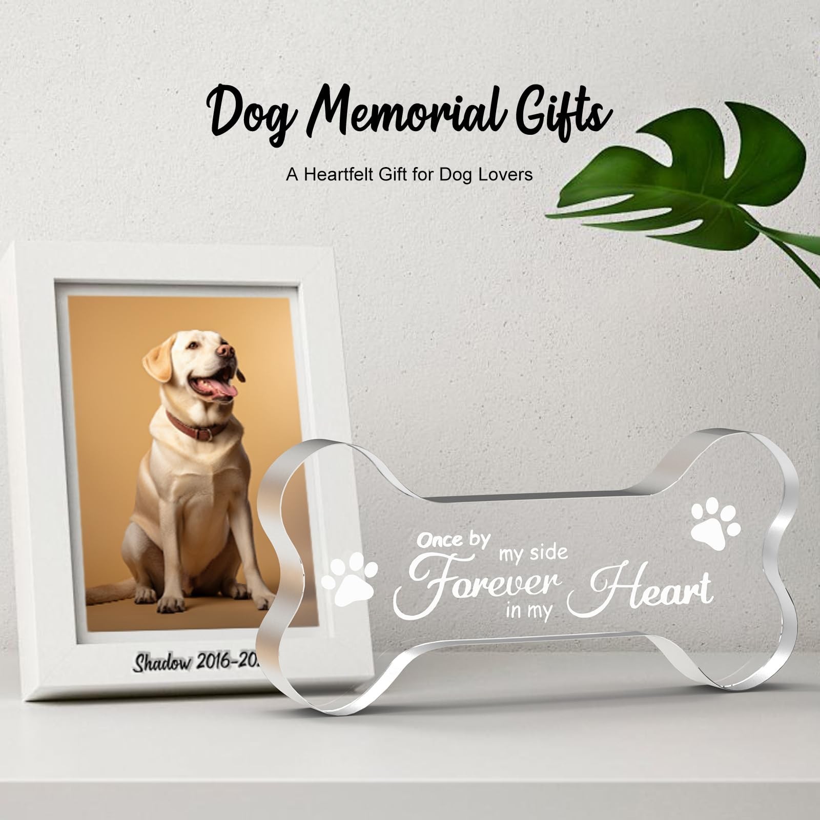 Crystal Glass Dog Memorial Gifts for Loss of Dog, Pet Memorial Gift for Dogs,…