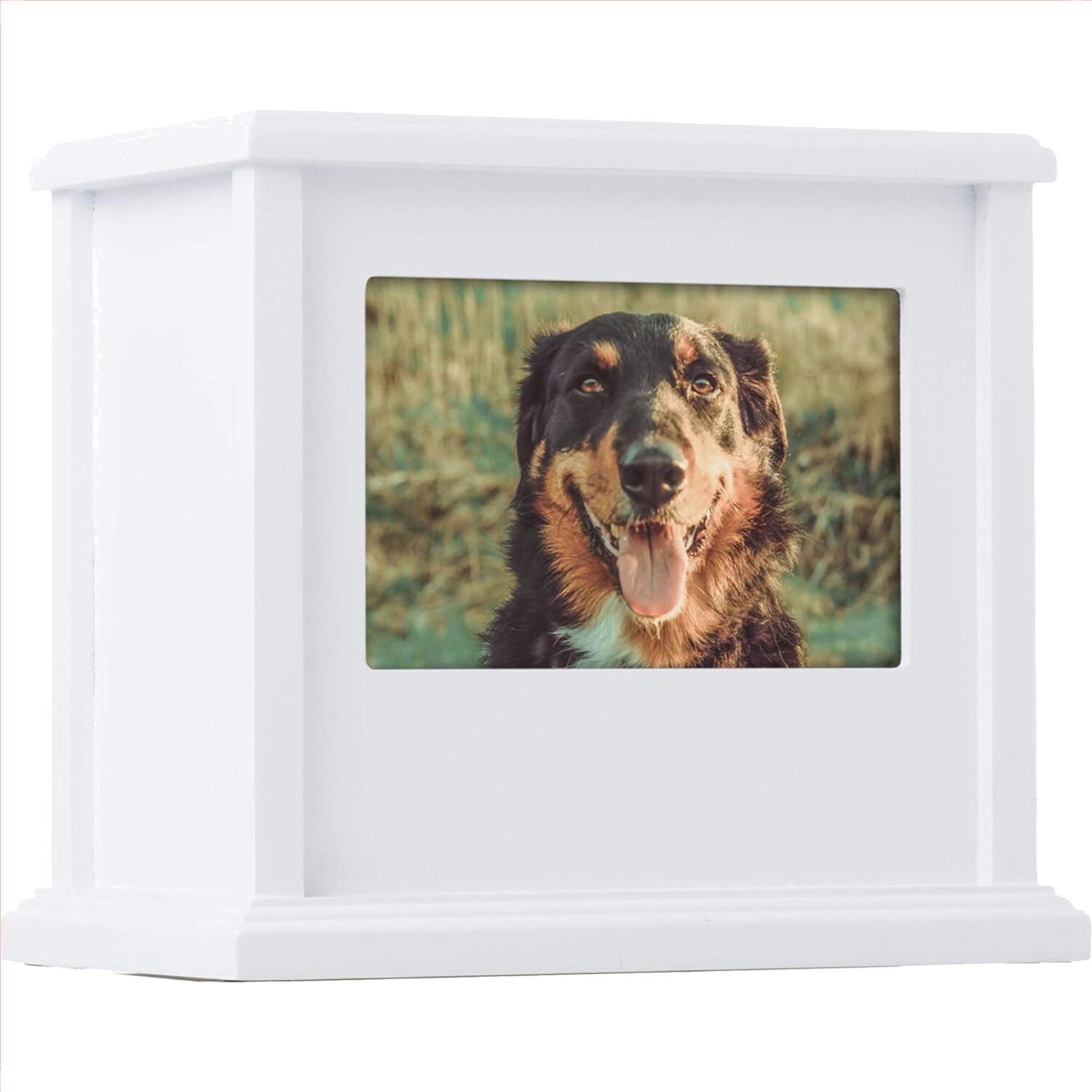 Personalized Pet Memory Box – Elegant Wooden Urn for Dogs & Cats (White)