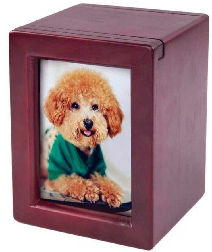 NEW IN BOX Silipax pet cremains Wood Urn with photo pocket medium size 5.5″ x 4″