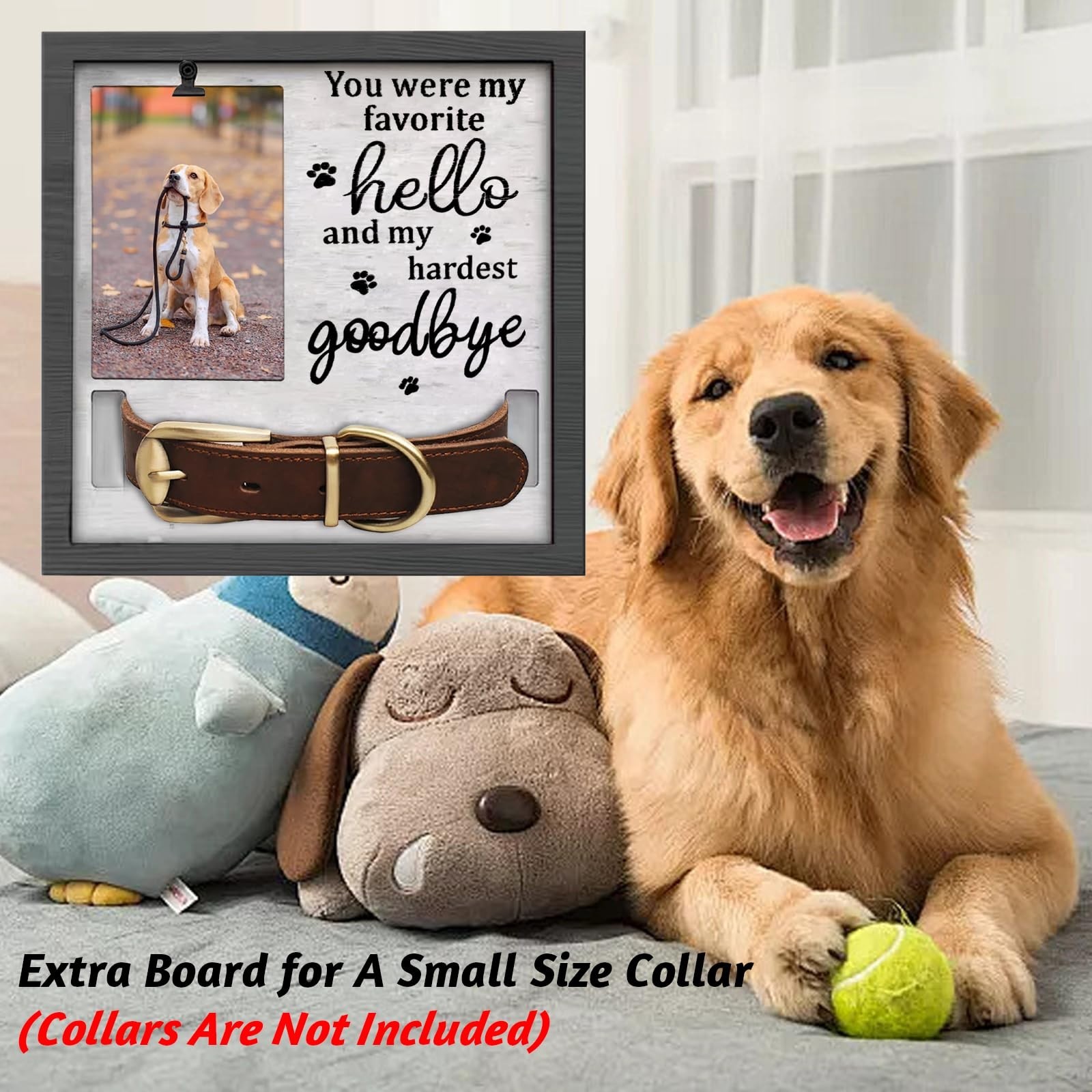 Pet Memorial Frames for Loss of Dog, in Memory of Dog or Cat Passing Away, Pe…
