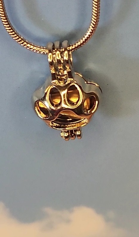 Paw Print Necklace Pet Cremation Jewelry