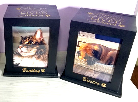 Pet Urn Memorial Custom Engraved | Cat & Dog Wood Cremation Box + Pet Loss Quote