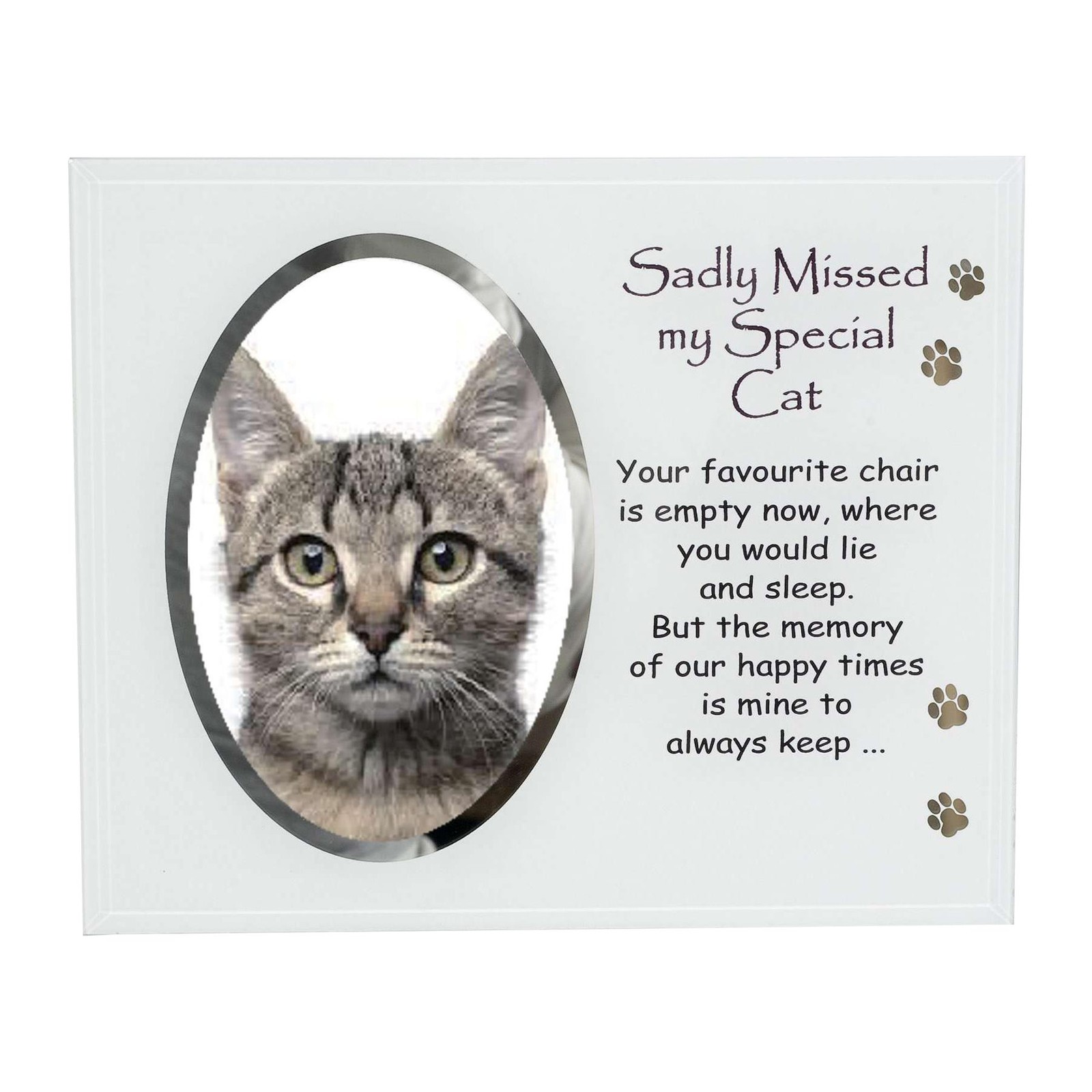 Memorial Glass Photo Frame with Wording Pet Memory – Special Cat