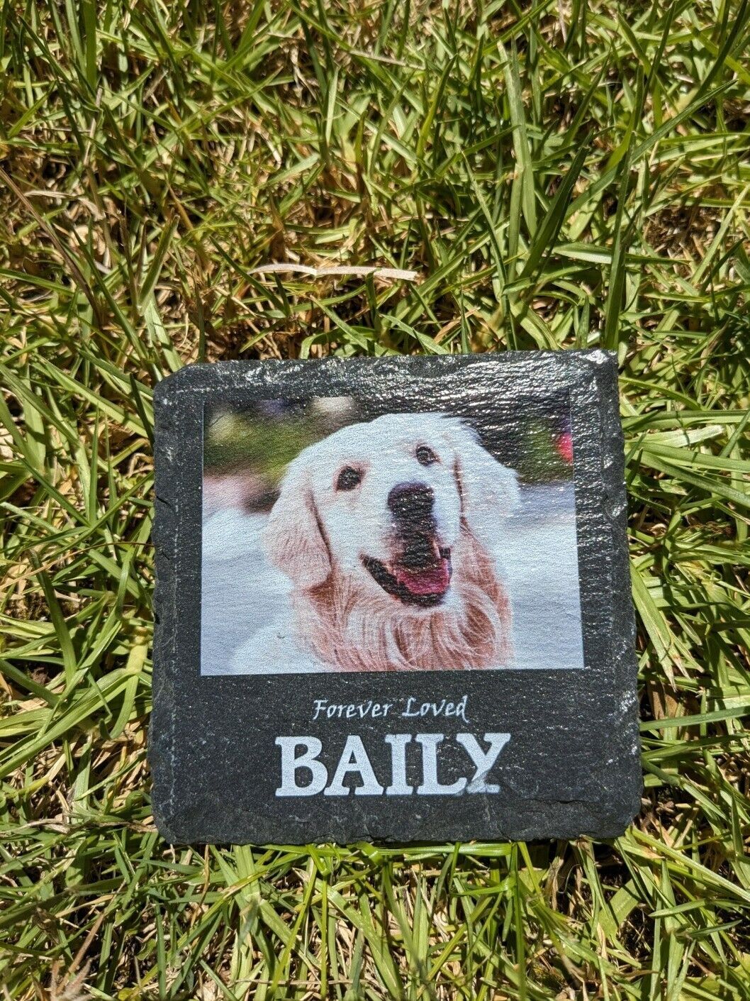 Personalised Pet RIP Memorial Plaque Dog Cat Bird Custom Grave stone UV Resist
