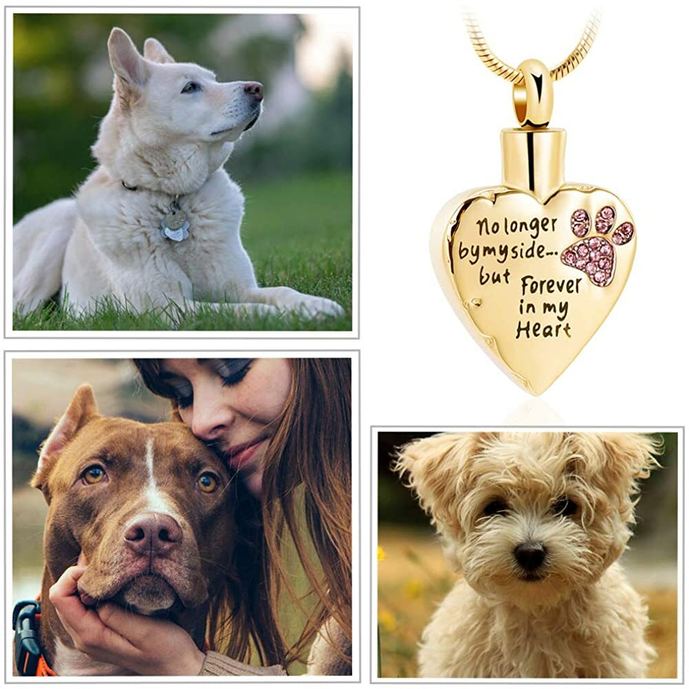 Memorial Cremation Jewelry No Longer by My Side, Forever in My Heart Locket Pets