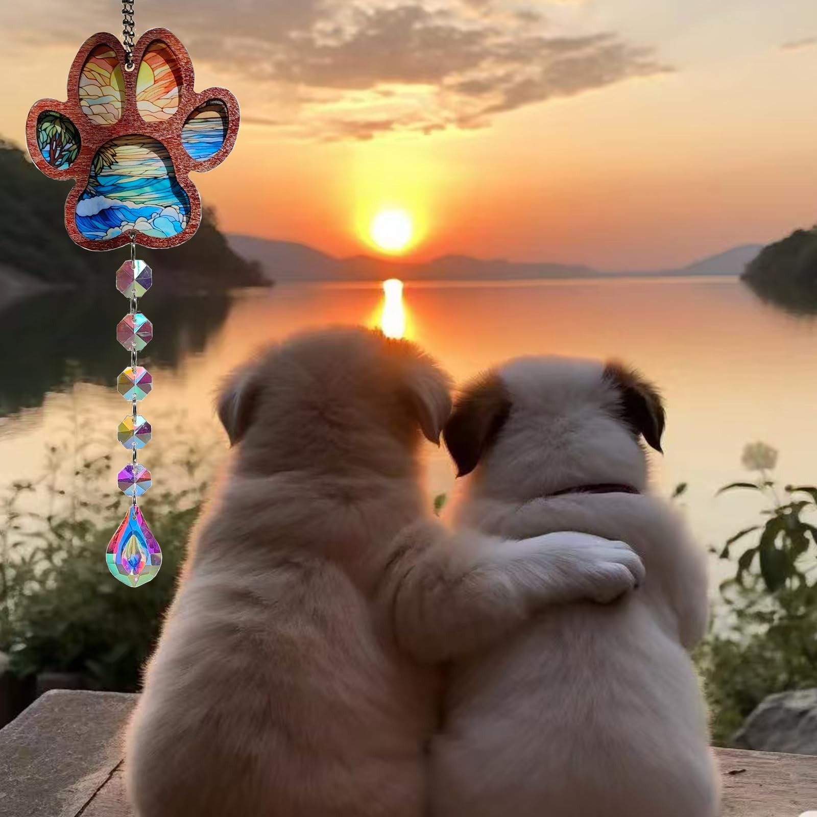Pet Memorial Gifts for Loss of Dog Cat,Pet Memorial Suncatcher,Crystal Ball W…