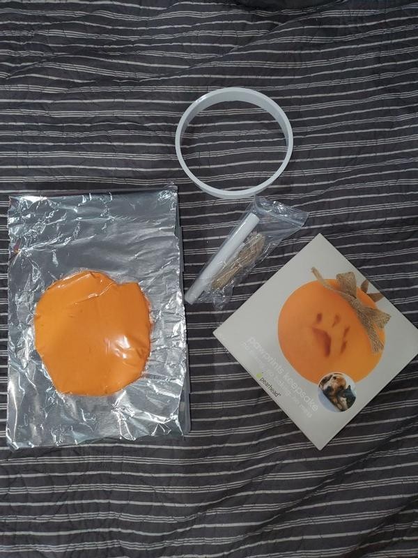 Pawprint Ornament Kit Pearhead Pet DIY Pawprints Keepsake Dogs Or Cats