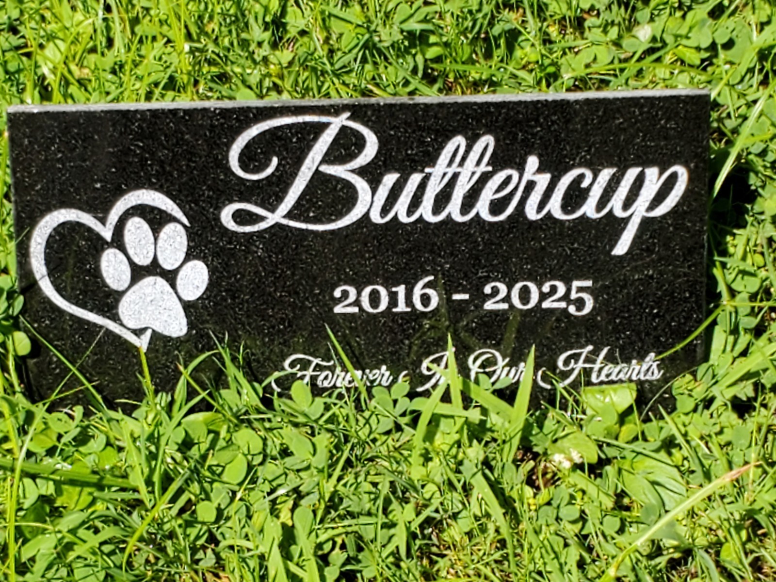 Pet Grave Marker Headstone Garden Granite Engraved Stone Plaque Dog Cat Gift t14