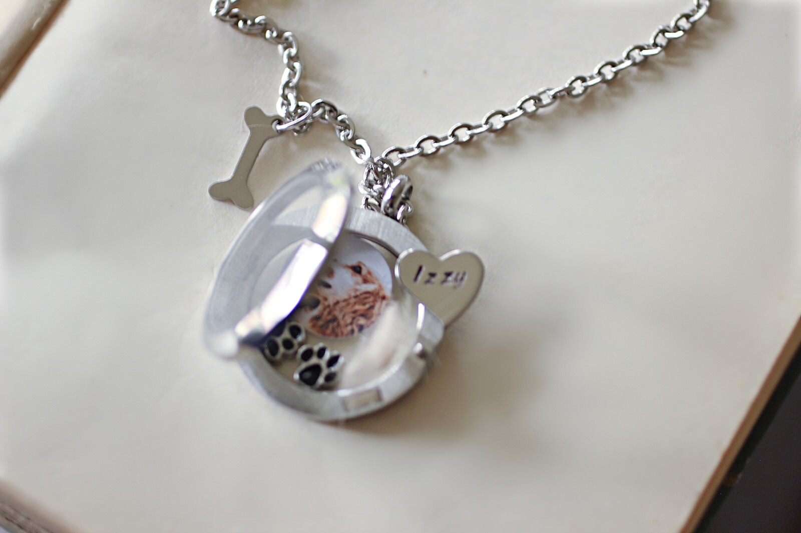 Personalised Dog Keepsake, Dog Fur Locket, Memorial Gift, Paw Print Jewellery