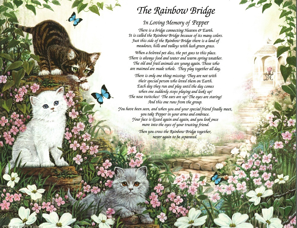 THE RAINBOW BRIDGE Pet Memorial Poem Gift for Loss of Your Beloved Cat/ Kittens