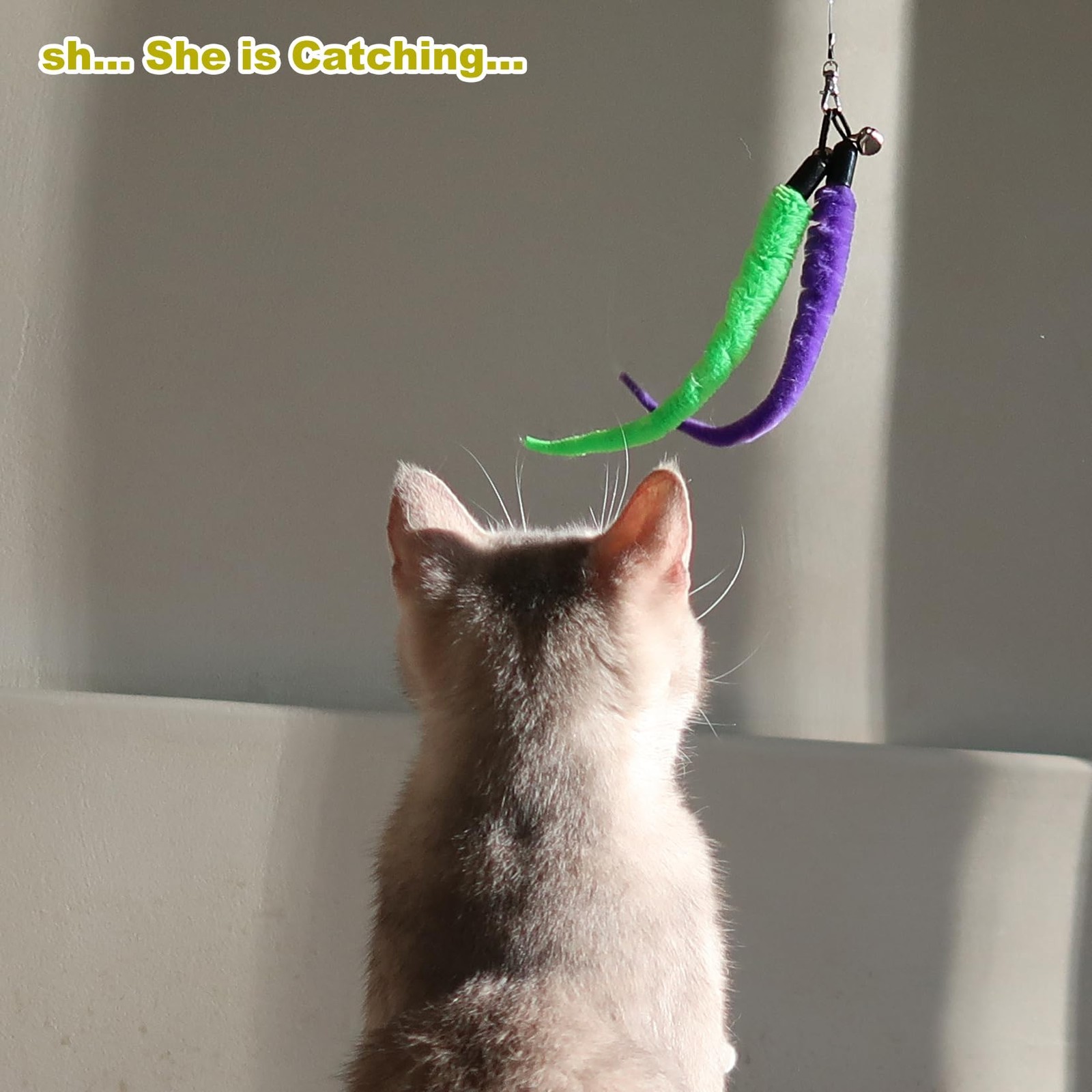 MeoHui Cat Toys for Indoor Cats, Interactive Cat Toy 2PCS Retractable Wand Toy a