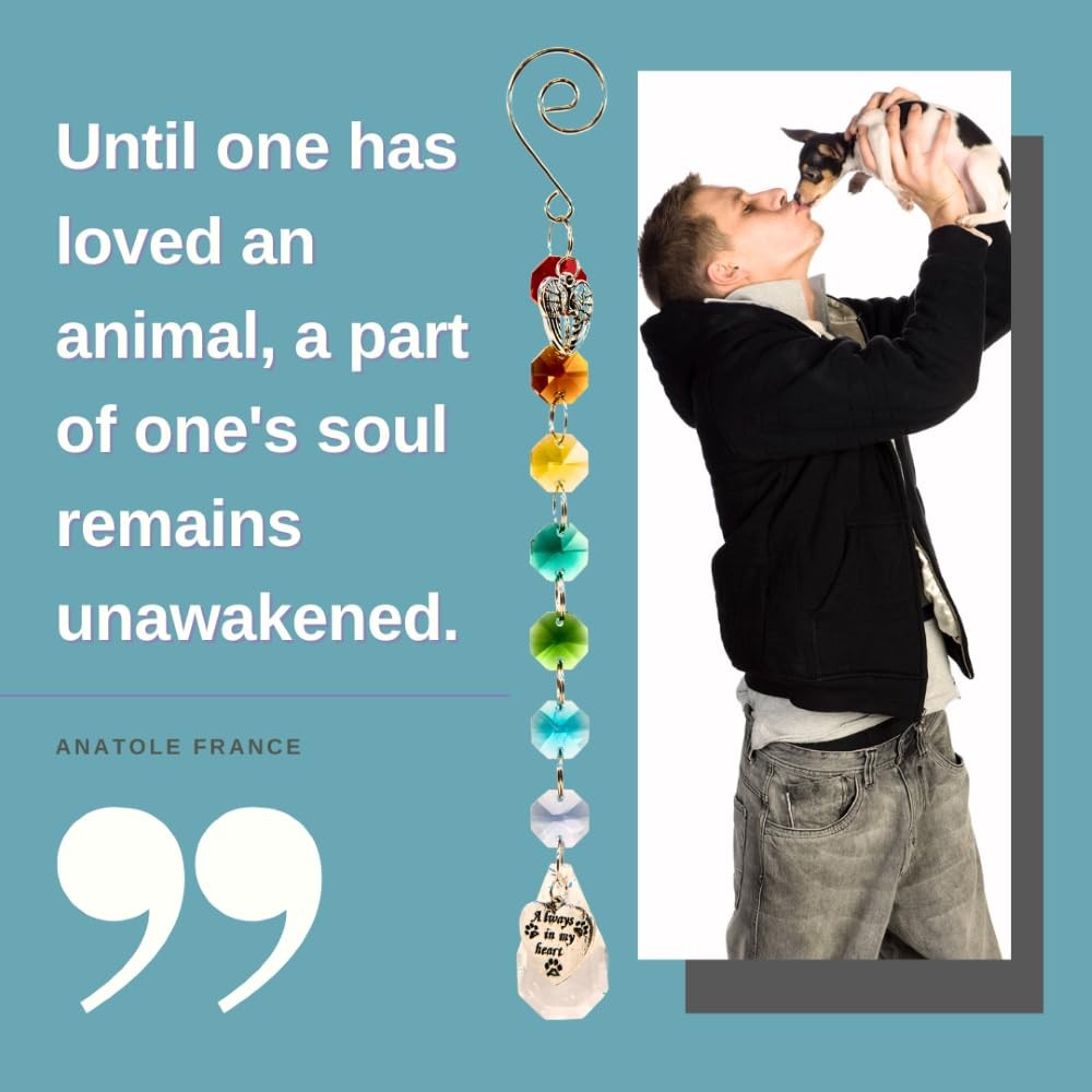 Pet Perennials Pet Memorial Suncatcher – Crystal Rainbow Prism with Angel Wings