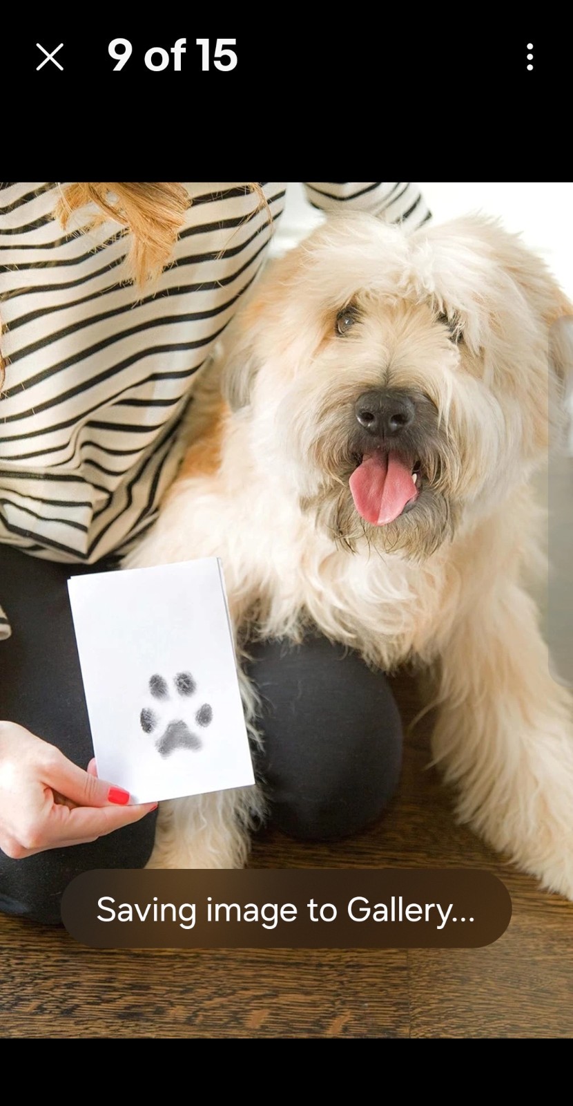 Paw Print Ink Pad Kit for Dogs Cats DIY Keepsake Impression Set 4 Card Black Ink