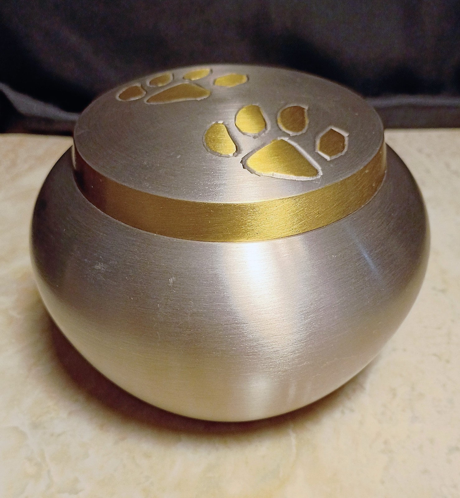 Steel & Brass Pawprint Design Pet Ashes Urn #2- Small, Heavy, Secure, Beautiful