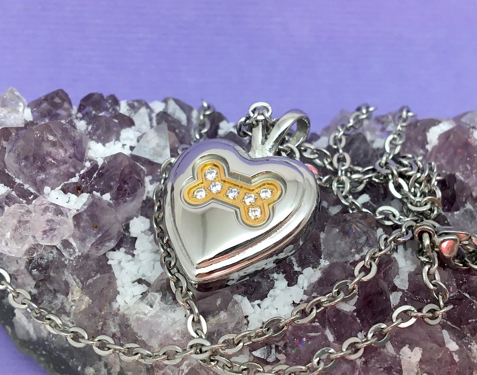 Dog Bone Heart Cremation Necklace Crystals Ladies Urn Jewelry Ash Pendant Girls