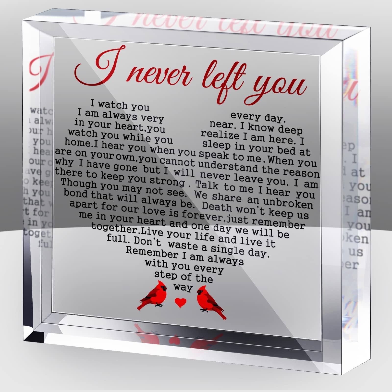 Yulejo Sympathy Gifts Plaque for Loss of Loved One Acrylic Cardinal Gift I Ne…