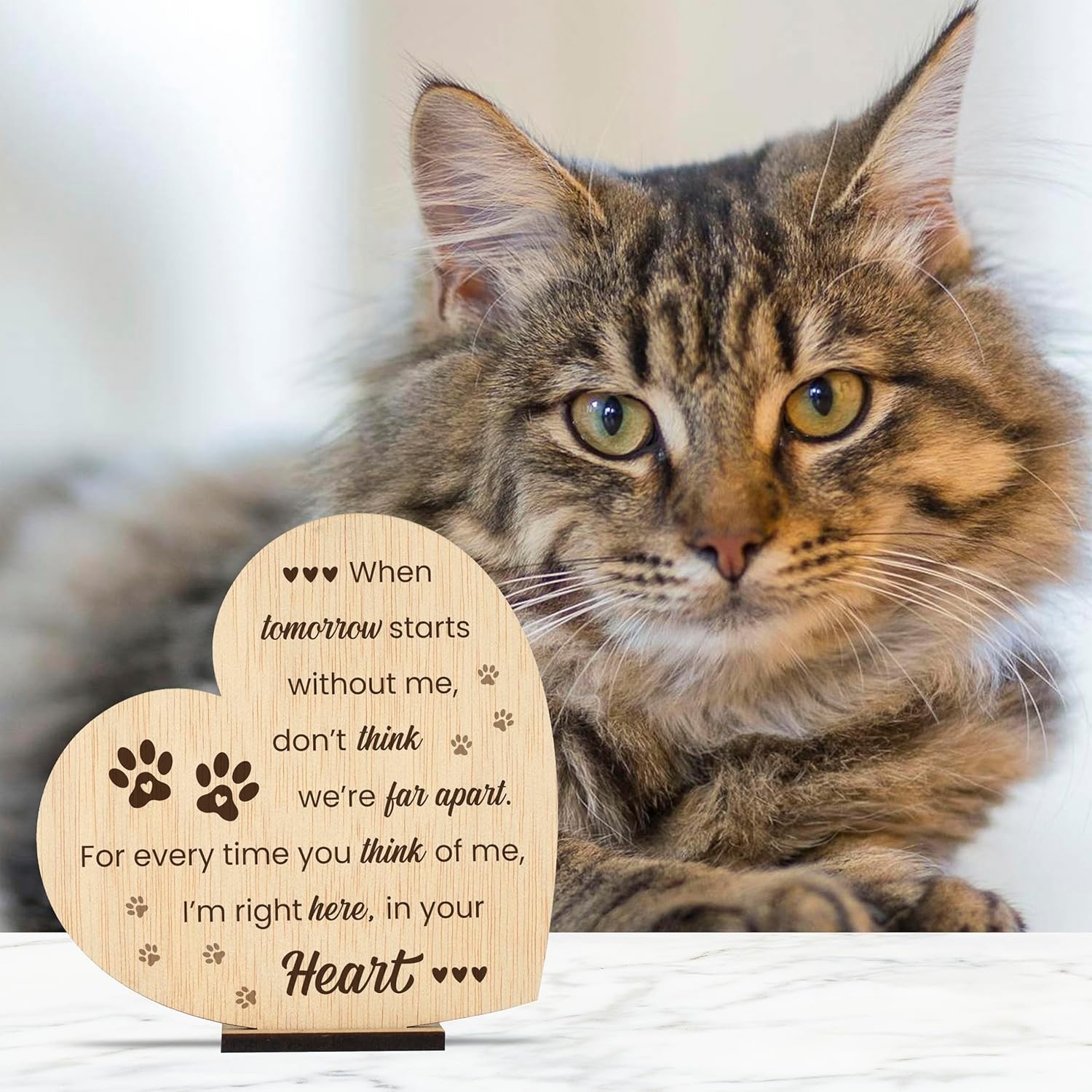 Pet Memorial Plaque for Loss of Dog or Cat Wooden Sympathy Sign in Loving Mem…