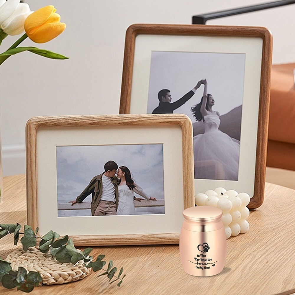 Paw Print Keepsake Urn – Paw Mini Cremation Urn for Ashes Pet Ashes Small Urns