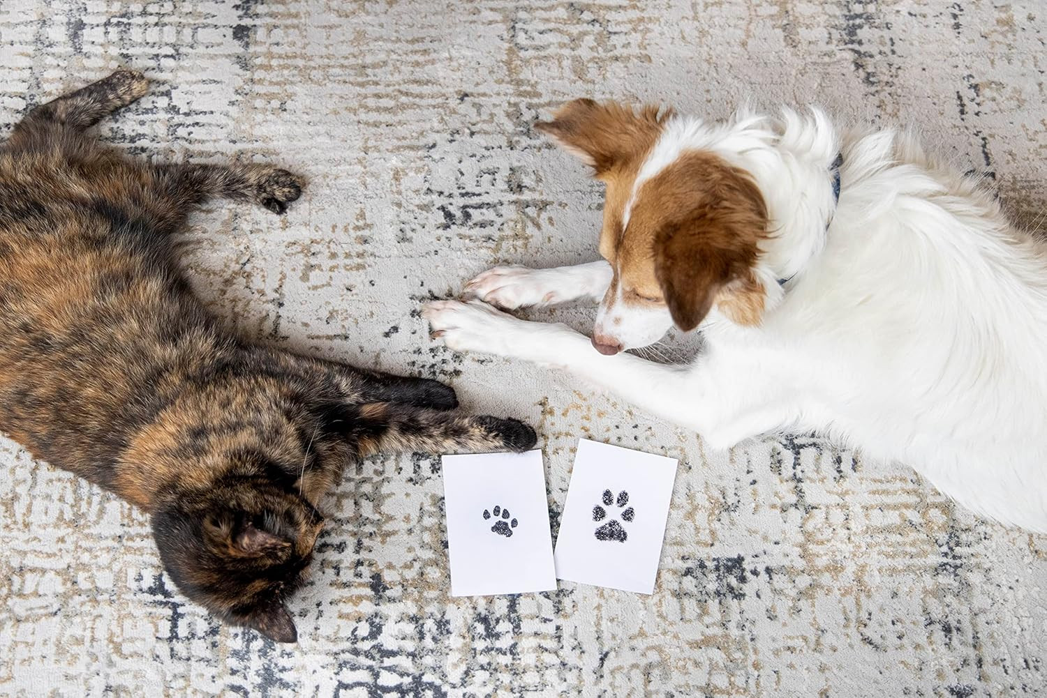 Paw Print Clean Touch Inkless Pad Kit for Dogs Cats Small Medium Keepsake