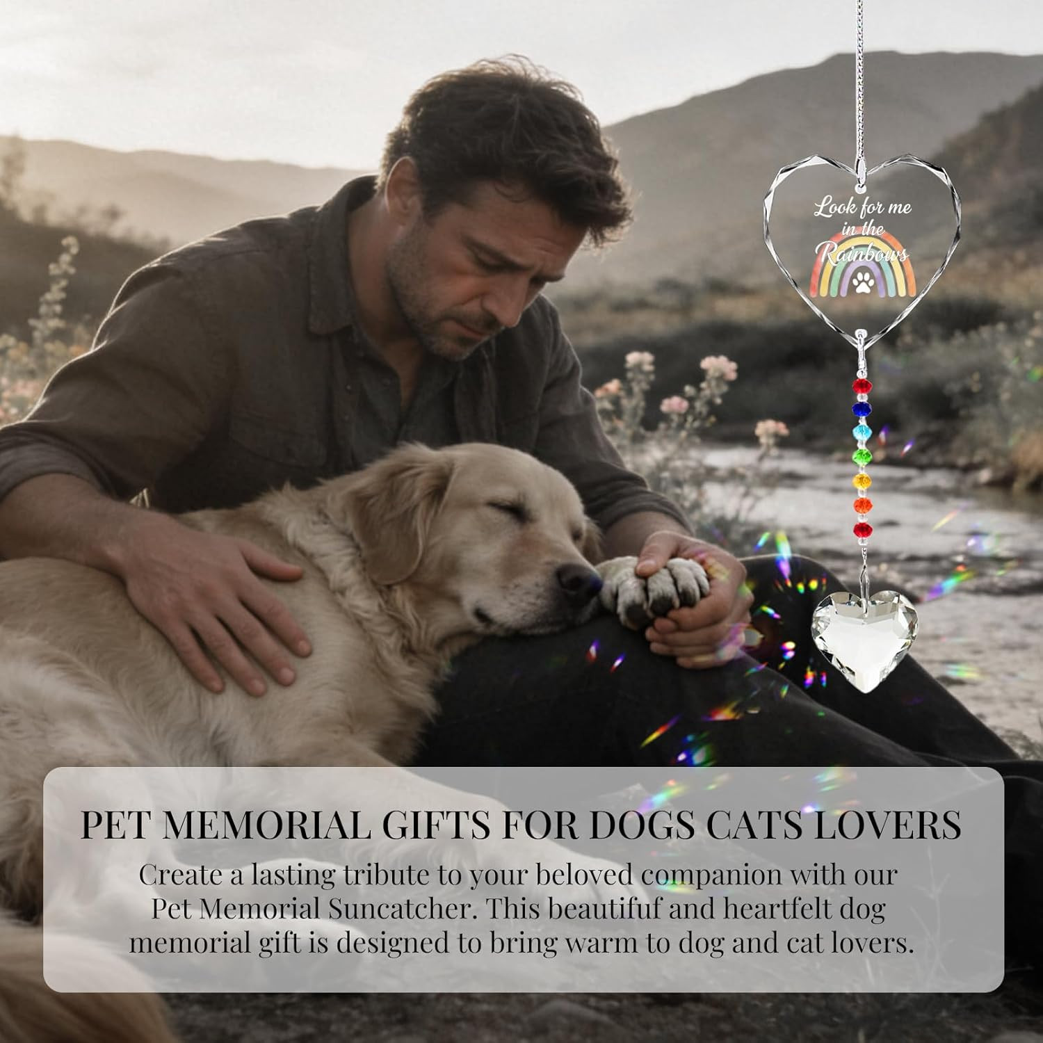 Pet Memorial Gifts Dogs Cats Look Me in the Rainbows Crystal Suncatcher Loss