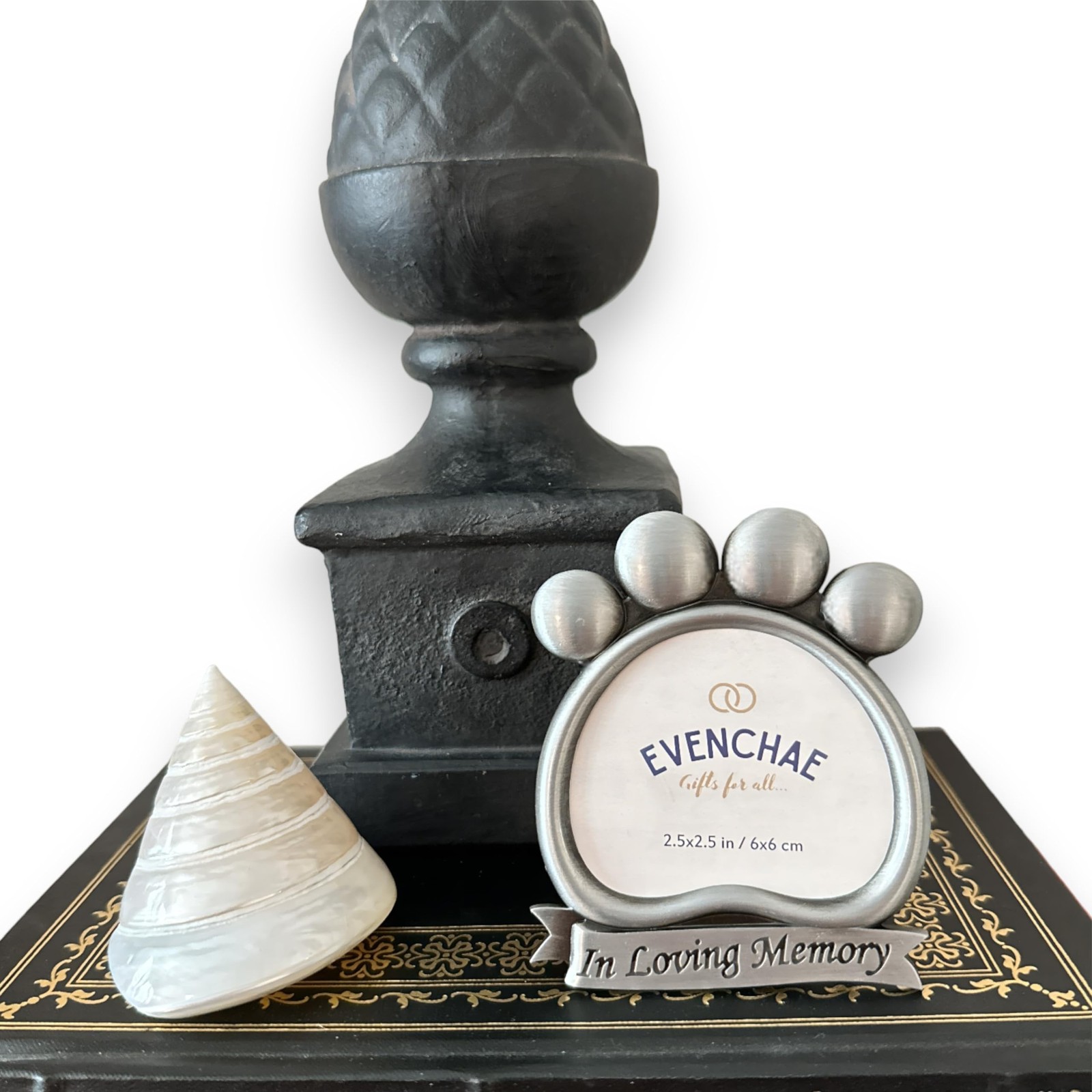 Mini Pawprint Pet Memorial Picture Frame | In Loving Memory – Memorialize You…