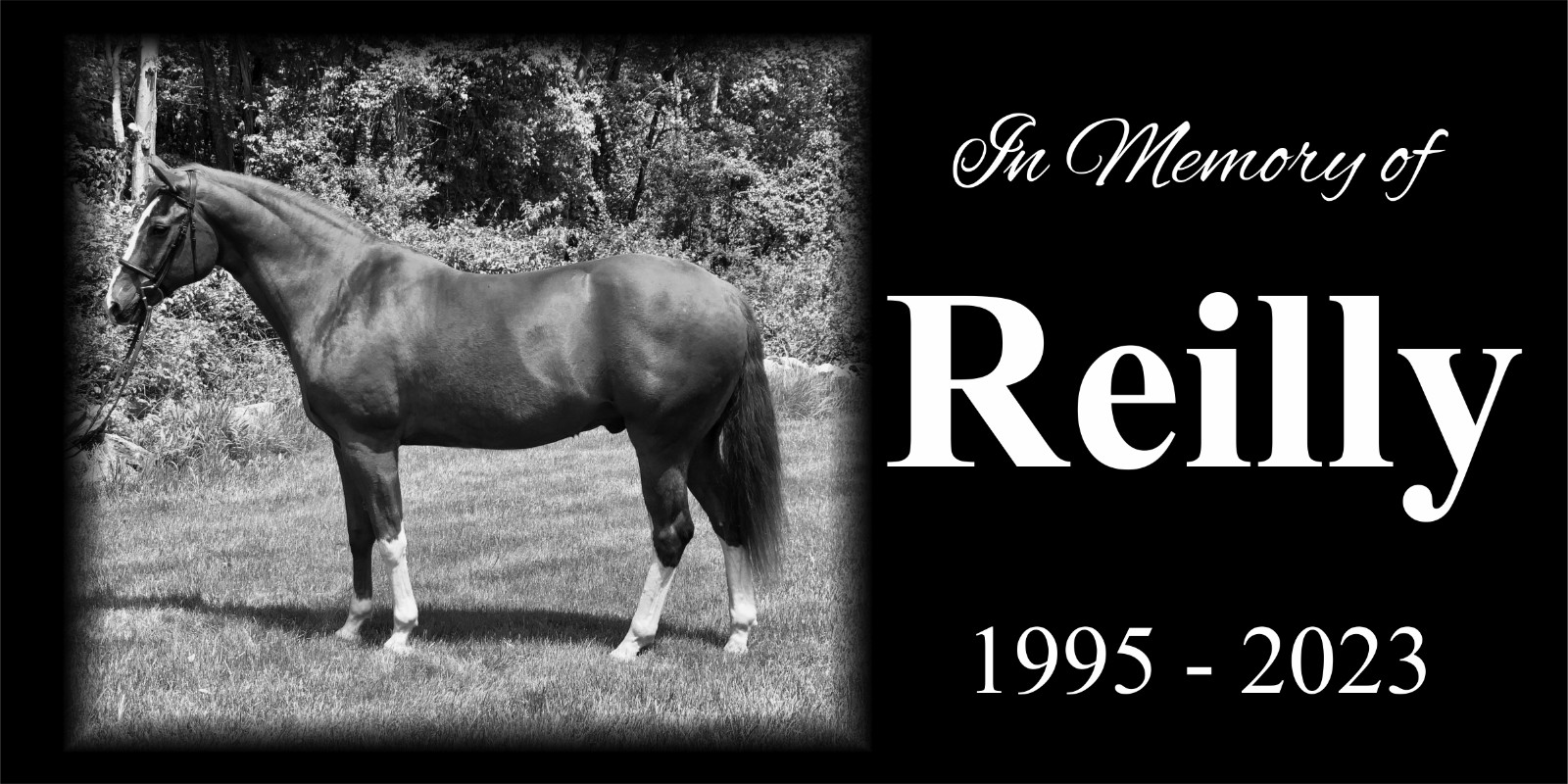 Custom Pet Stone Memorial Grave Marker Granite Plaque Human headstone Cancer