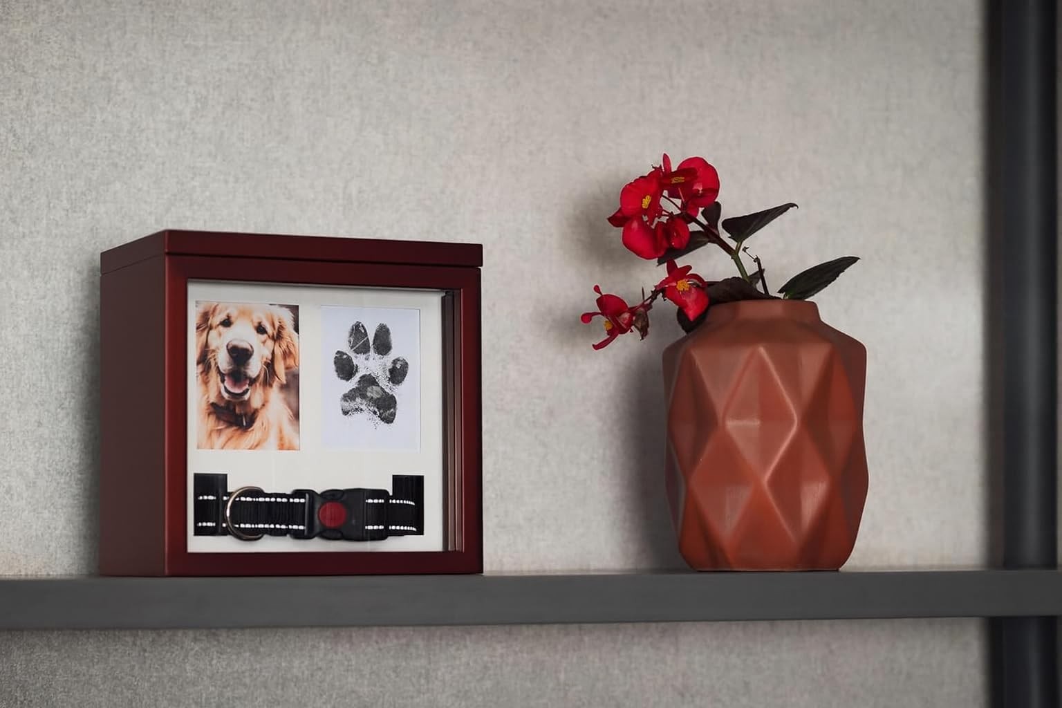 Large Dog Urn for Ashes, 4 Customizable Displays with Paw Print Ink Kit, 8.5x…