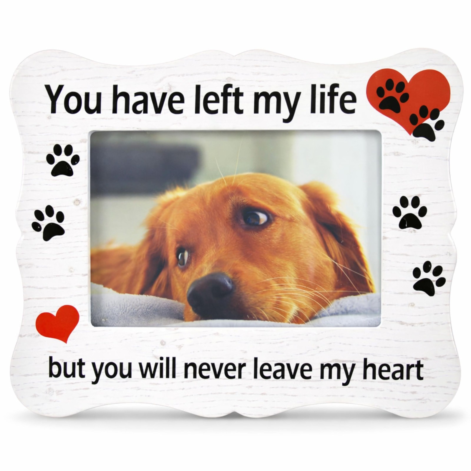 BANBERRY DESIGNS Pet Memorial Picture Frame 4×6 – Loss of Pet Sympathy Gif
