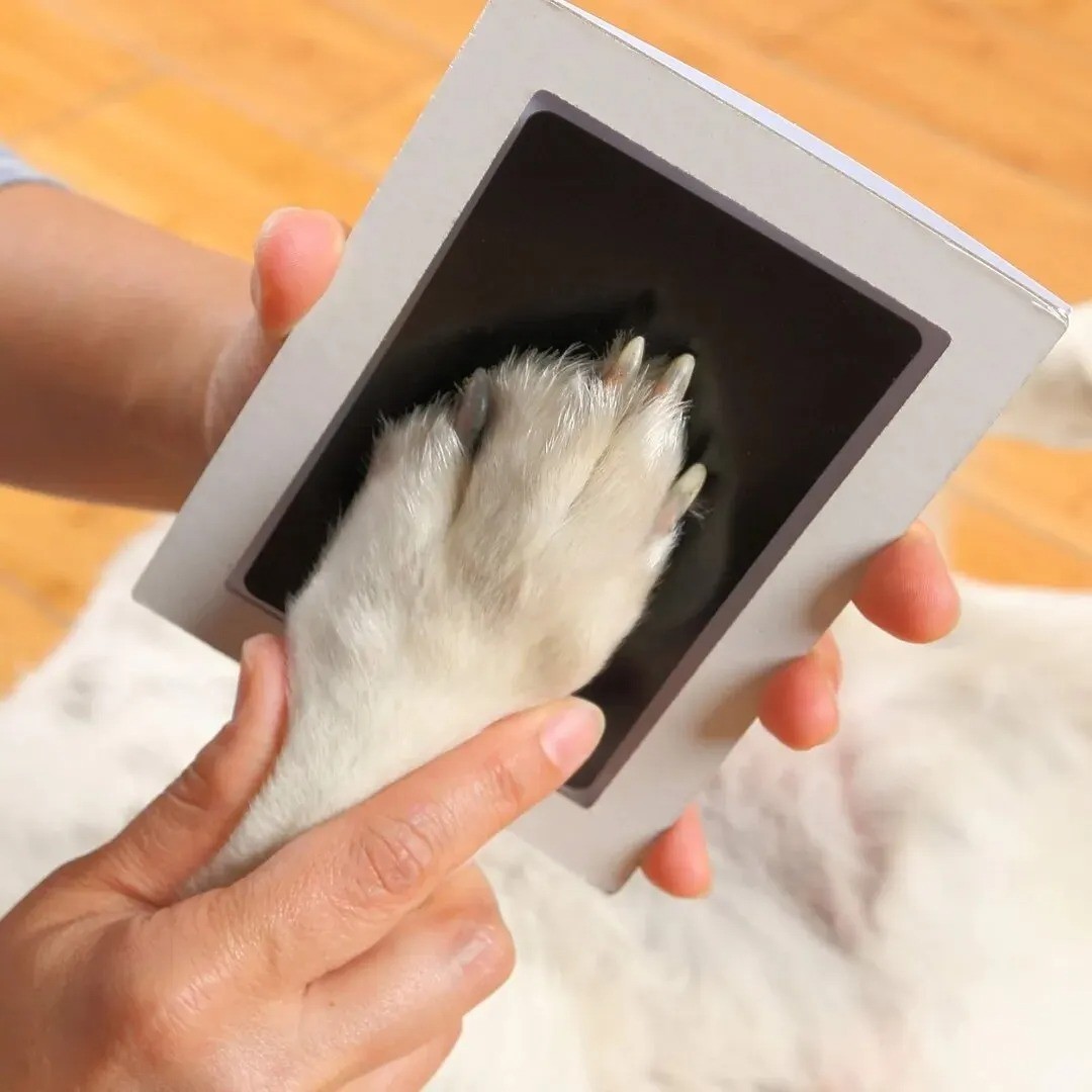 1 Pc Paw Print Ink Pad Pet Dog Cat Keepsake Inkless Paw Print Kit DIY Impression