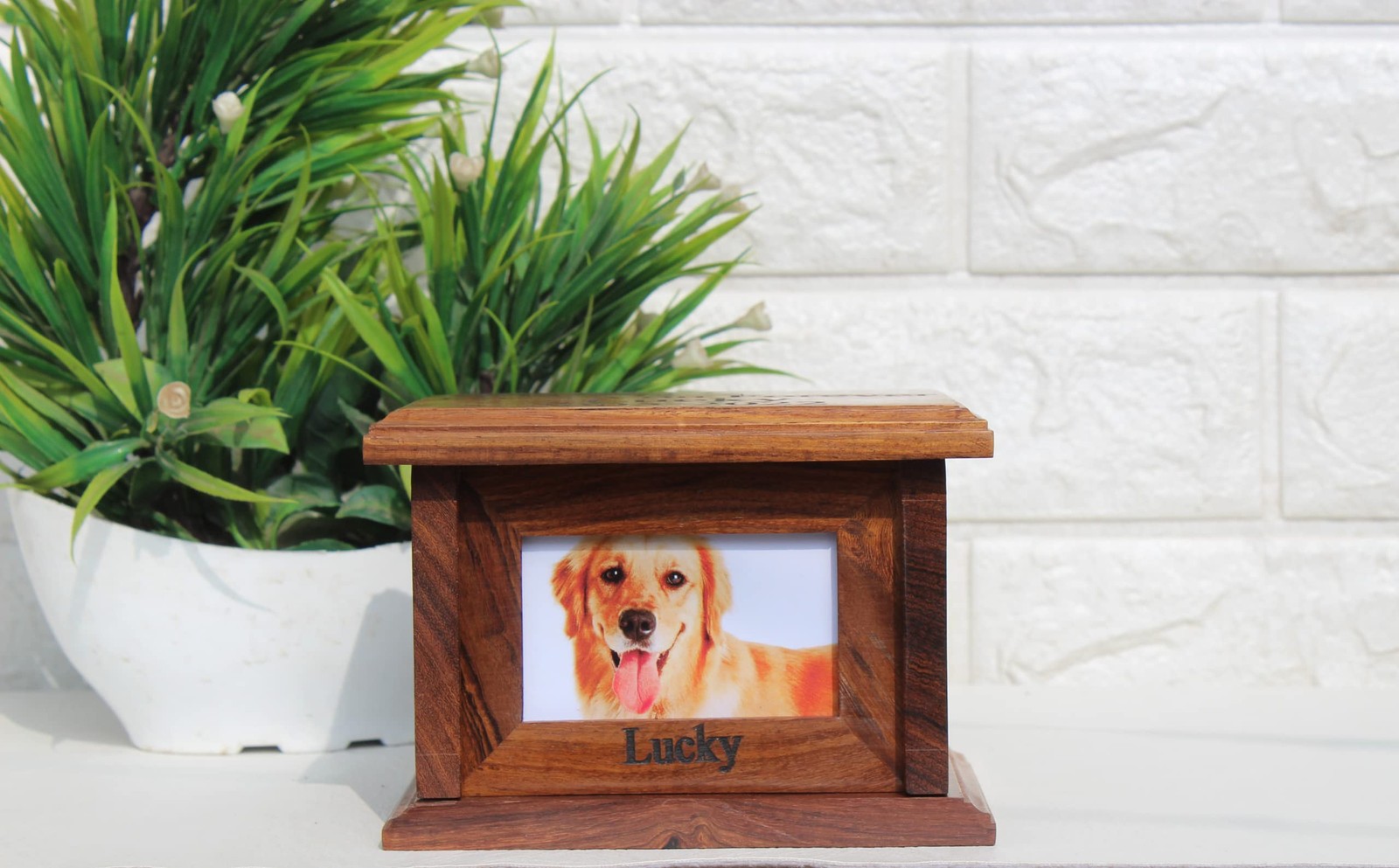 Pet urns for Dogs, Dog Ashes, Wood urn Small-No Text, Brown