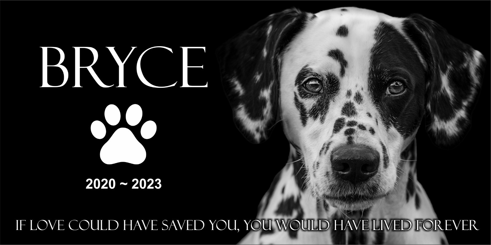 Engraved Pet Memorial Stone for Human, Pet, Dog, Cat, Horse. Custom Grave Marker