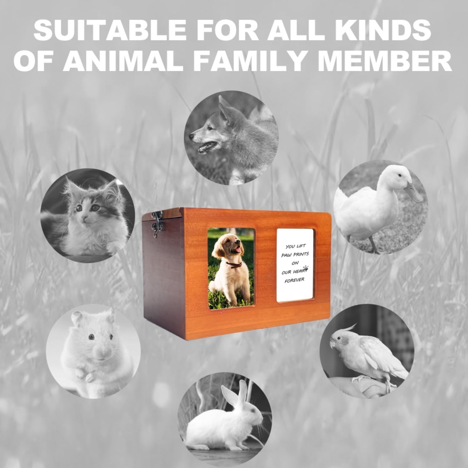Handcrafted Wooden Pet Urns for Dogs and Cats – Secure Sliding Lid & Photo Space